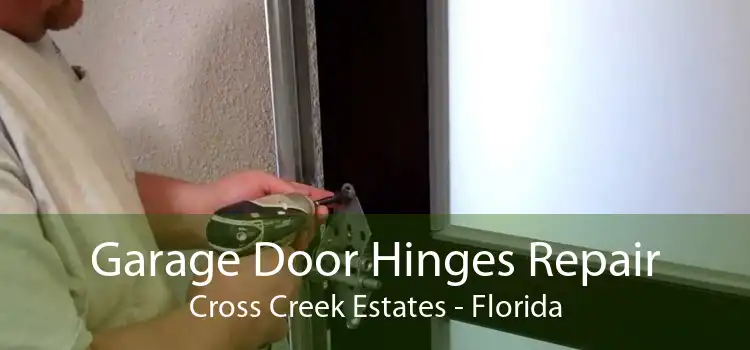 Garage Door Hinges Repair Cross Creek Estates - Florida