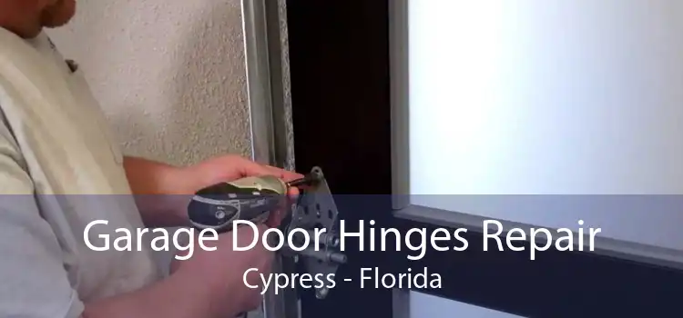 Garage Door Hinges Repair Cypress - Florida