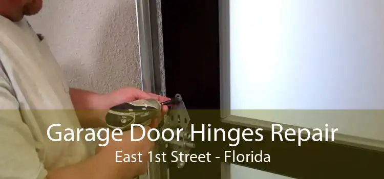 Garage Door Hinges Repair East 1st Street - Florida