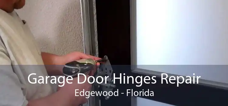 Garage Door Hinges Repair Edgewood - Florida