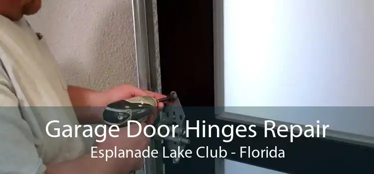 Garage Door Hinges Repair Esplanade Lake Club - Florida