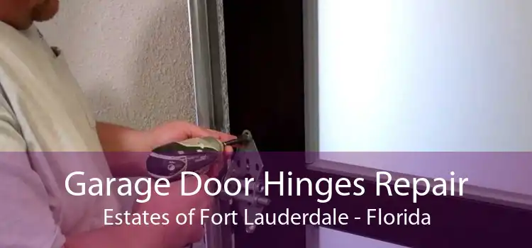 Garage Door Hinges Repair Estates of Fort Lauderdale - Florida