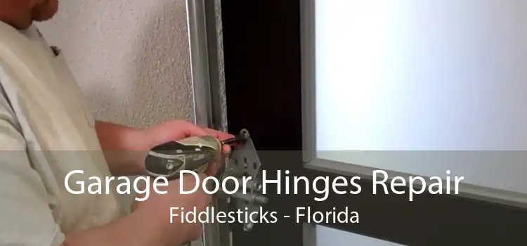 Garage Door Hinges Repair Fiddlesticks - Florida