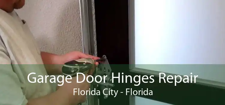 Garage Door Hinges Repair Florida City - Florida