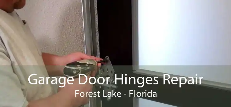 Garage Door Hinges Repair Forest Lake - Florida