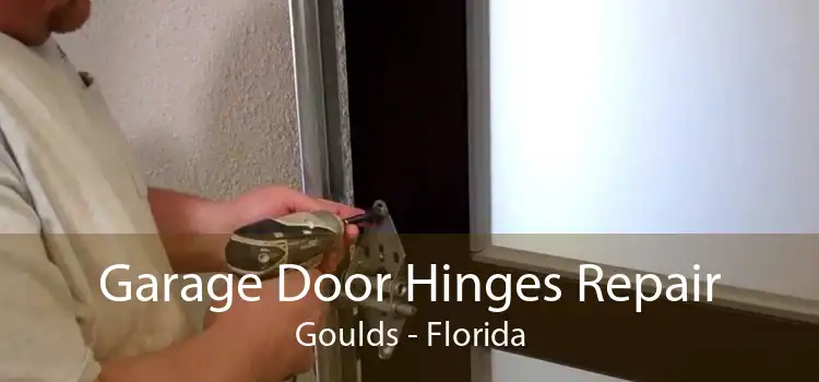 Garage Door Hinges Repair Goulds - Florida