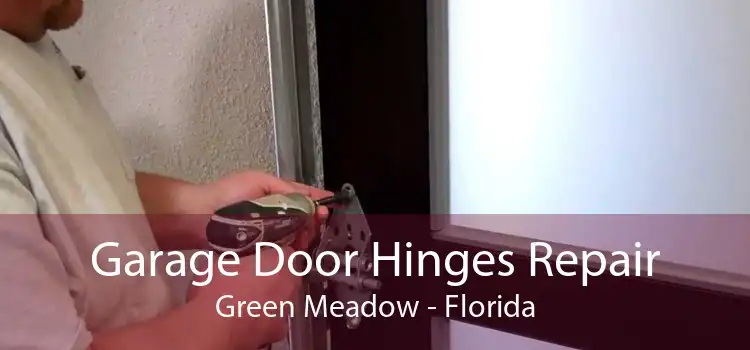 Garage Door Hinges Repair Green Meadow - Florida