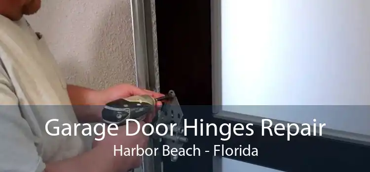 Garage Door Hinges Repair Harbor Beach - Florida