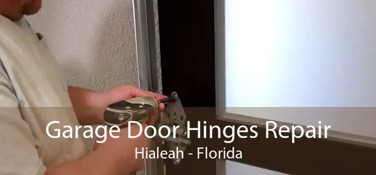 Garage Door Hinges Repair Hialeah - Florida