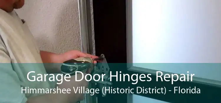 Garage Door Hinges Repair Himmarshee Village (Historic District) - Florida