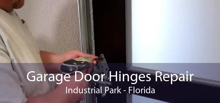 Garage Door Hinges Repair Industrial Park - Florida