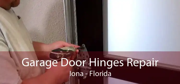 Garage Door Hinges Repair Iona - Florida