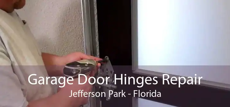 Garage Door Hinges Repair Jefferson Park - Florida