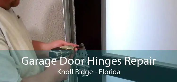 Garage Door Hinges Repair Knoll Ridge - Florida