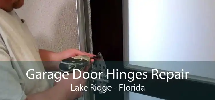 Garage Door Hinges Repair Lake Ridge - Florida