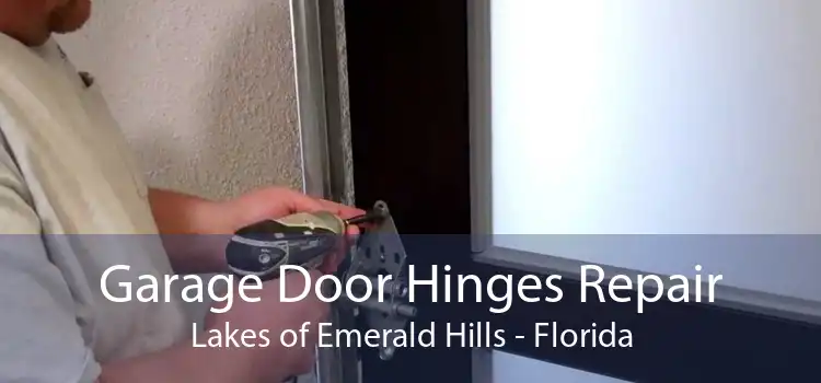 Garage Door Hinges Repair Lakes of Emerald Hills - Florida