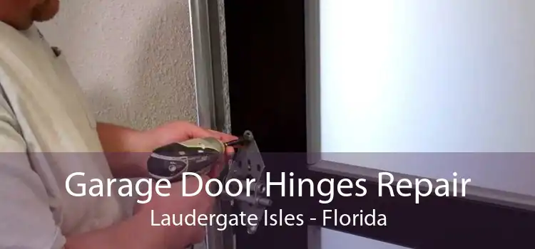 Garage Door Hinges Repair Laudergate Isles - Florida