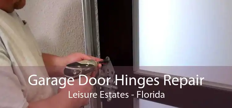 Garage Door Hinges Repair Leisure Estates - Florida