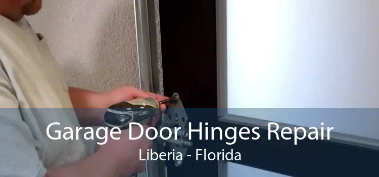 Garage Door Hinges Repair Liberia - Florida