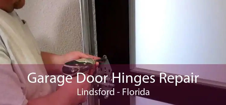 Garage Door Hinges Repair Lindsford - Florida