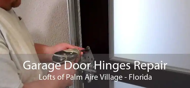 Garage Door Hinges Repair Lofts of Palm Aire Village - Florida