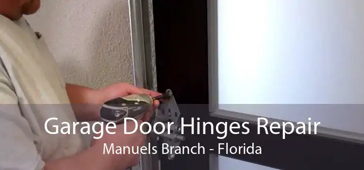 Garage Door Hinges Repair Manuels Branch - Florida