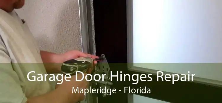 Garage Door Hinges Repair Mapleridge - Florida