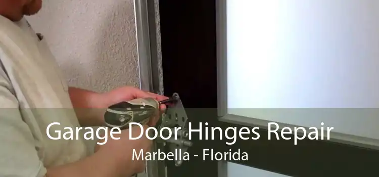 Garage Door Hinges Repair Marbella - Florida