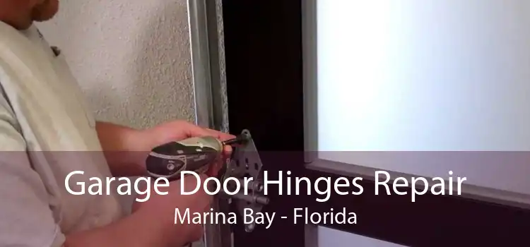 Garage Door Hinges Repair Marina Bay - Florida