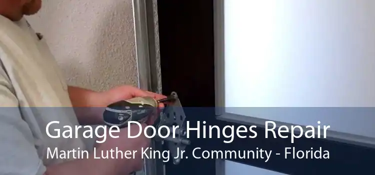 Garage Door Hinges Repair Martin Luther King Jr. Community - Florida