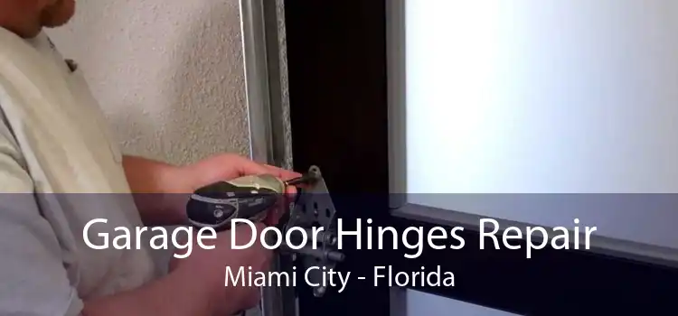 Garage Door Hinges Repair Miami City - Florida