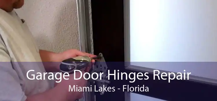 Garage Door Hinges Repair Miami Lakes - Florida