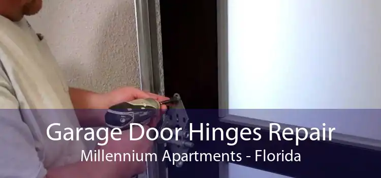 Garage Door Hinges Repair Millennium Apartments - Florida