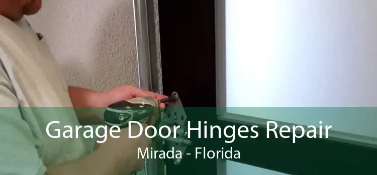 Garage Door Hinges Repair Mirada - Florida