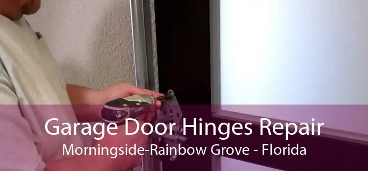 Garage Door Hinges Repair Morningside-Rainbow Grove - Florida