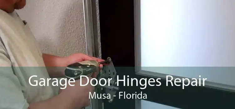 Garage Door Hinges Repair Musa - Florida