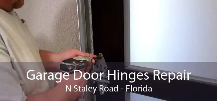 Garage Door Hinges Repair N Staley Road - Florida