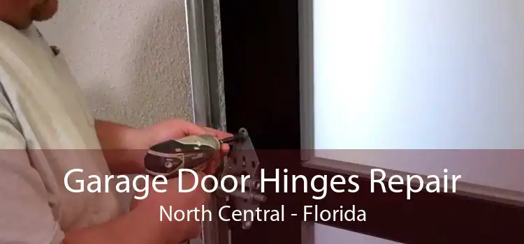 Garage Door Hinges Repair North Central - Florida