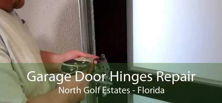 Garage Door Hinges Repair North Golf Estates - Florida