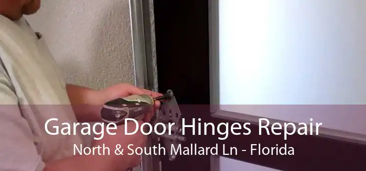 Garage Door Hinges Repair North & South Mallard Ln - Florida