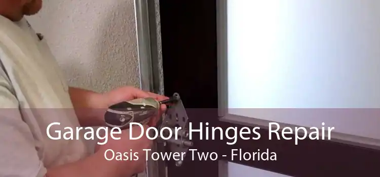 Garage Door Hinges Repair Oasis Tower Two - Florida