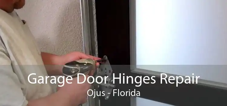 Garage Door Hinges Repair Ojus - Florida