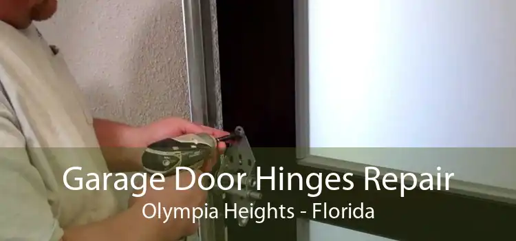 Garage Door Hinges Repair Olympia Heights - Florida