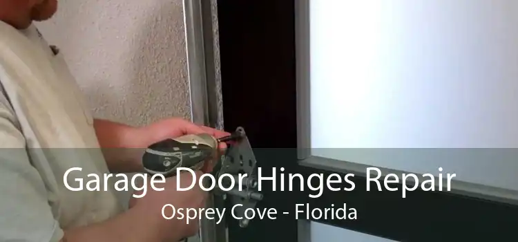 Garage Door Hinges Repair Osprey Cove - Florida