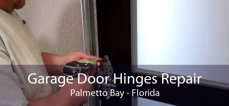 Garage Door Hinges Repair Palmetto Bay - Florida