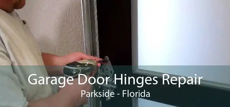 Garage Door Hinges Repair Parkside - Florida