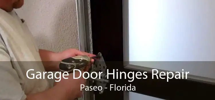 Garage Door Hinges Repair Paseo - Florida