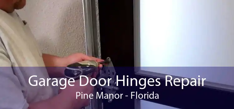 Garage Door Hinges Repair Pine Manor - Florida