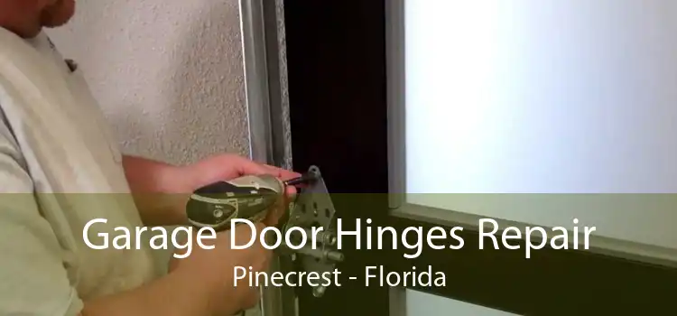 Garage Door Hinges Repair Pinecrest - Florida