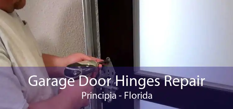 Garage Door Hinges Repair Principia - Florida